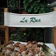 Esterno porcini