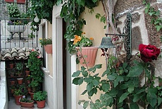 particolare esterno