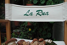 Esterno porcini